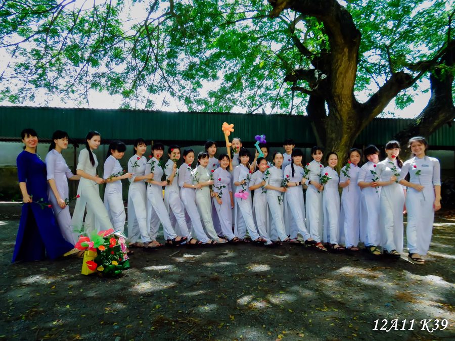 Album Lớp 12A11 — ảnh 4