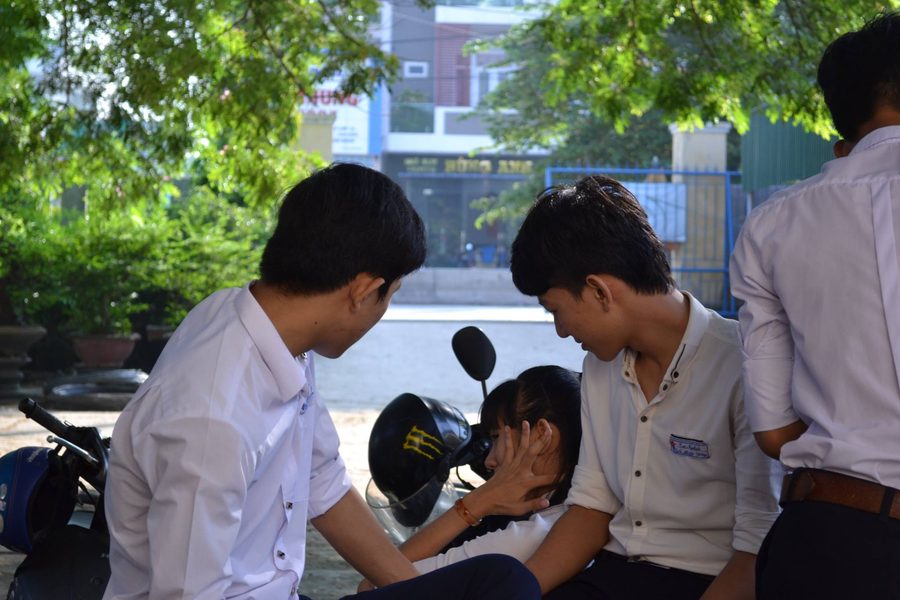 Album Lớp 12A11 — ảnh 9